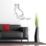 Chat - La nuit tous les chats sont gris